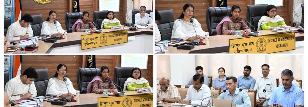 No Effort Will Be Spared to Make Hoshiarpur Dengue Free Ashika Jain